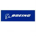 Boeing Blue Signature Sticker